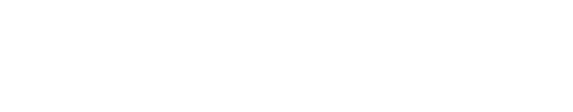 Maxflo Motorsport logo